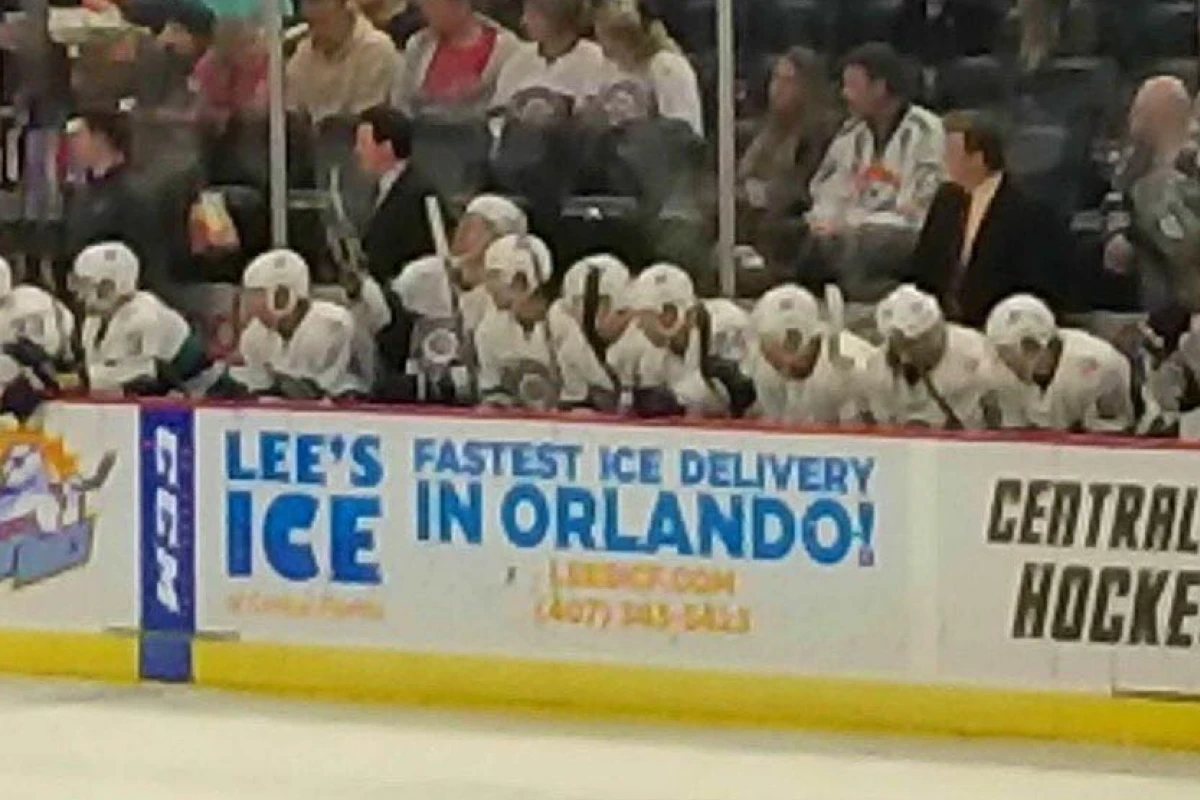 Lee's Ice Banner
